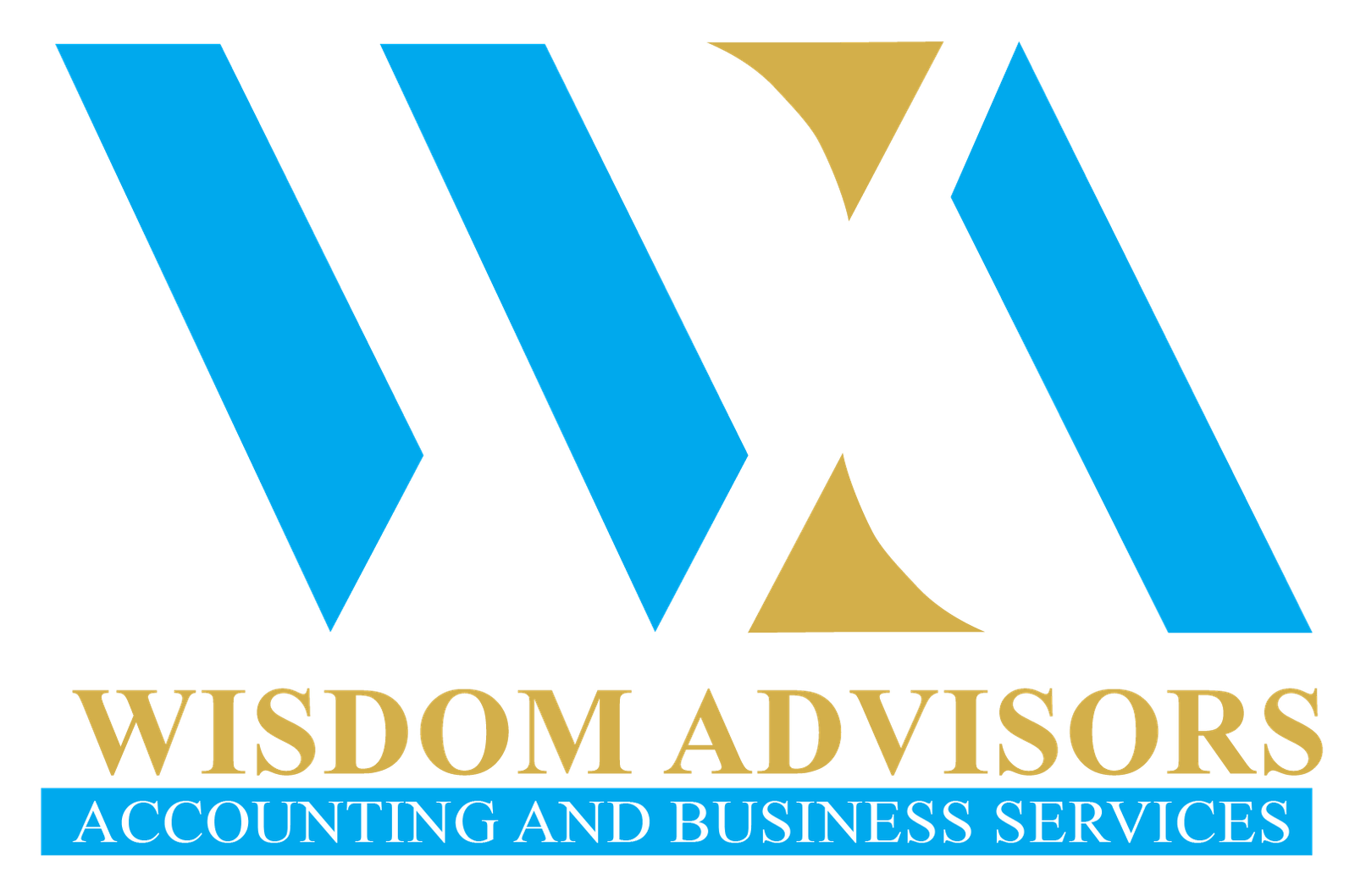 about-wisdom-advisors